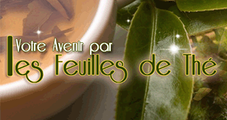 Feuilles de Thé